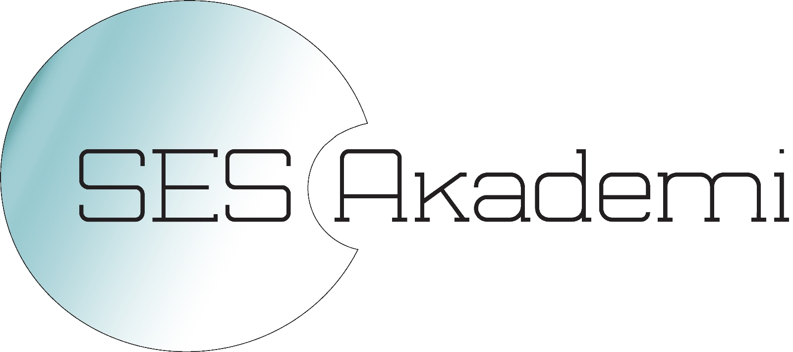 Firma 2 Logosu (örnek)